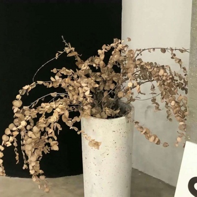 兽设冰川场景绘制Furry群